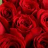 11 Red Roses Bouquet - Classic Romance Gift for Special Occasions - 4