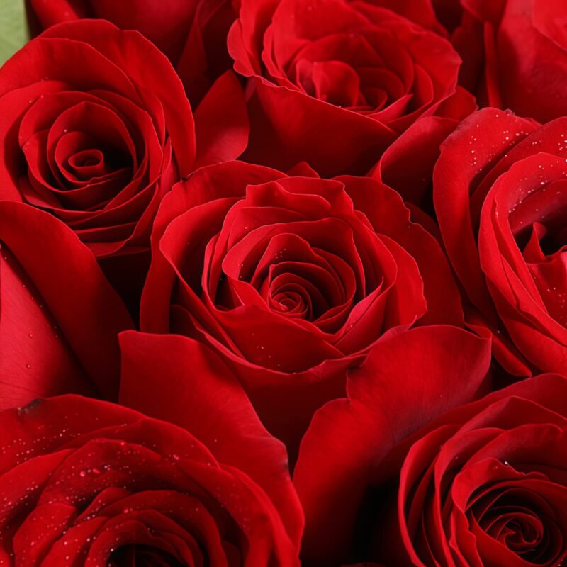 11 Red Roses Bouquet - Classic Romance Gift for Special Occasions - 4