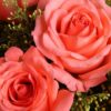 11 Pink Roses Bouquet - Pure Devotion | Romantic Floral Gift - 4
