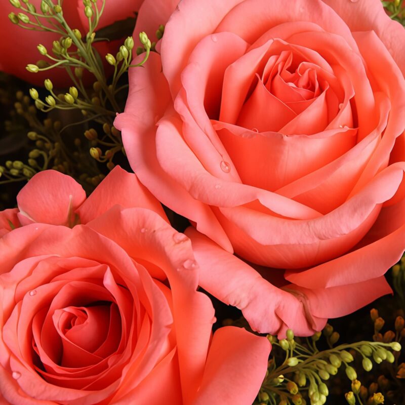 11 Pink Roses Bouquet - Pure Devotion | Romantic Floral Gift - 4