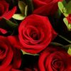 9 Red Roses Bouquet - Radiant Elegance | Romantic Floral Gift - 3