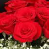 11 Red Roses Bouquet - Midnight Glow | Romantic Floral Gift - 4