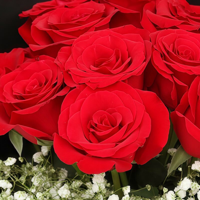 11 Red Roses Bouquet - Midnight Glow | Romantic Floral Gift - 4