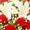 19 Red Carnations & 5 White Lilies Bouquet | Timeless Grace Floral Gift - 3