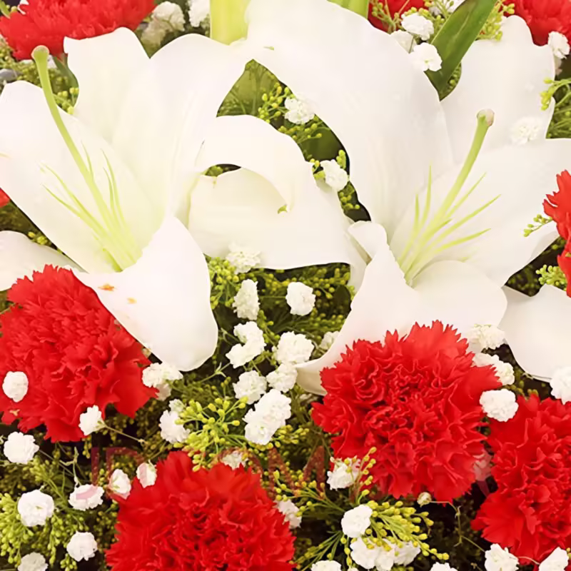 19 Red Carnations & 5 White Lilies Bouquet | Timeless Grace Floral Gift - 3
