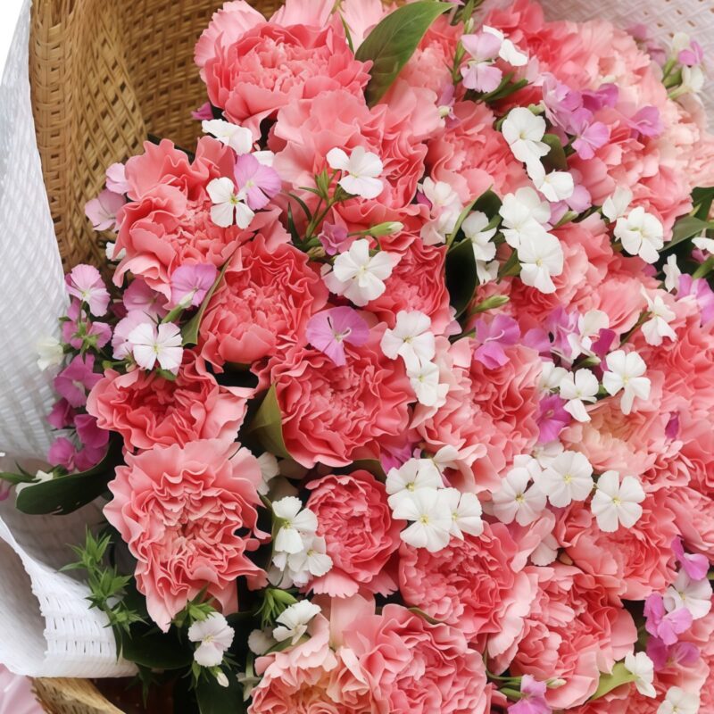 Amore Senza Tempo: Bouquet di 33 Garofani Rosa 33 Pink Carnations Bouquet - Timeless Love & Elegant Floral Gift - 4