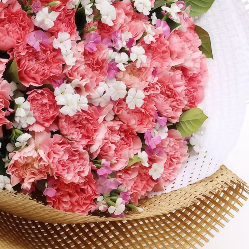 Amore Senza Tempo: Bouquet di 33 Garofani Rosa 33 Pink Carnations Bouquet - Timeless Love & Elegant Floral Gift - 3