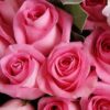 Sweet Melody: Pink Roses & Hydrangea Bouquet | Elegant Floral Gift - 4