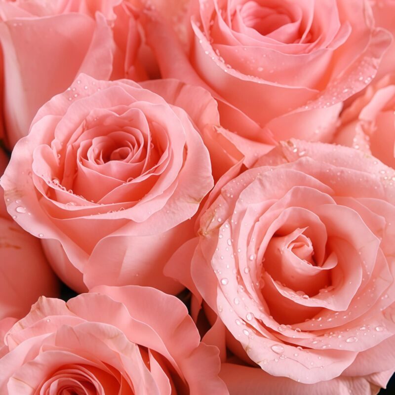 11 Pink Roses Bouquet - Radiant Beauty with Stargazer Lilies - 4
