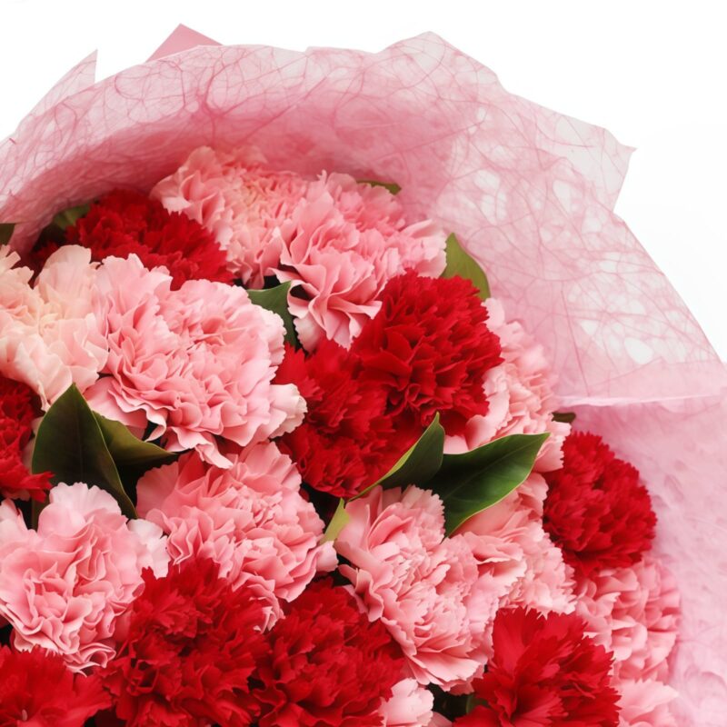 33 Mixed Carnations Bouquet | Eternal Affection Floral Gift - 5