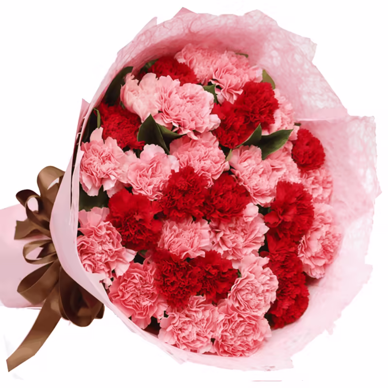 33 Mixed Carnations Bouquet | Eternal Affection Floral Gift - 1