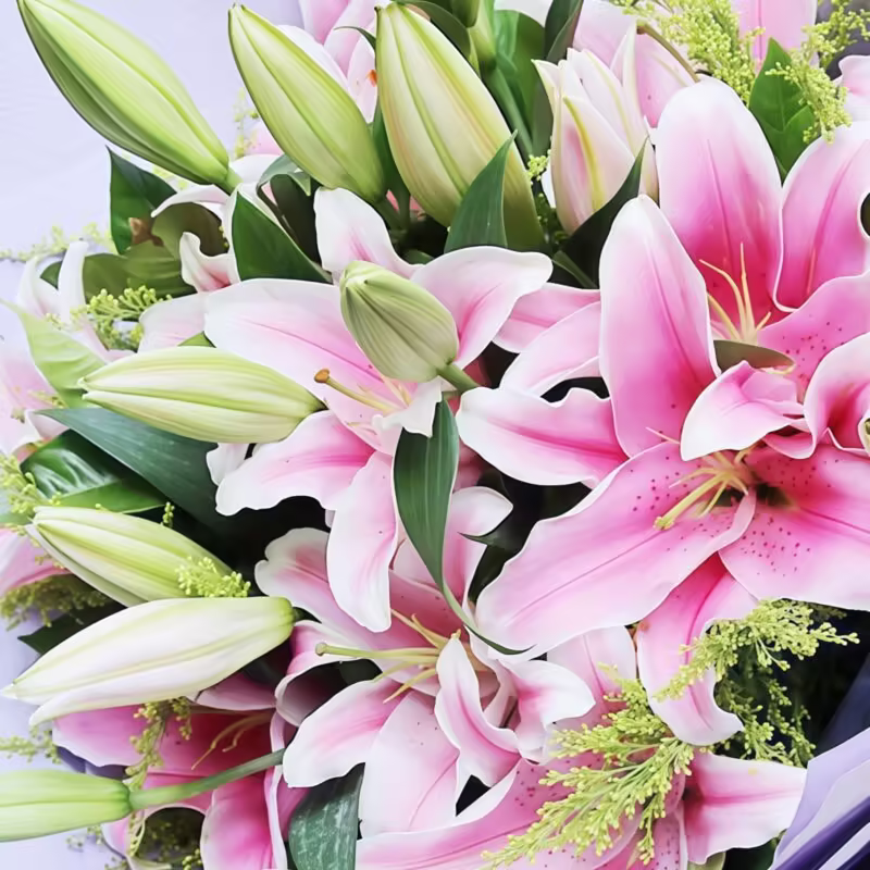 19 Pink Lilies Bouquet - Heartfelt Joy | Fresh Floral Arrangement - 3