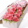 Confezione Regalo con 11 Garofani Rosa - Dolce Gratitudine 11 Pink Carnations Gift Box | Sweet Gratitude Floral Bouquet - 1