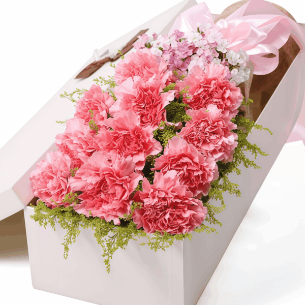 11 Pink Carnations Gift Box - Sweet Gratitude - 1 11 Pink Carnations Gift Box | Sweet Gratitude Floral Bouquet - 1