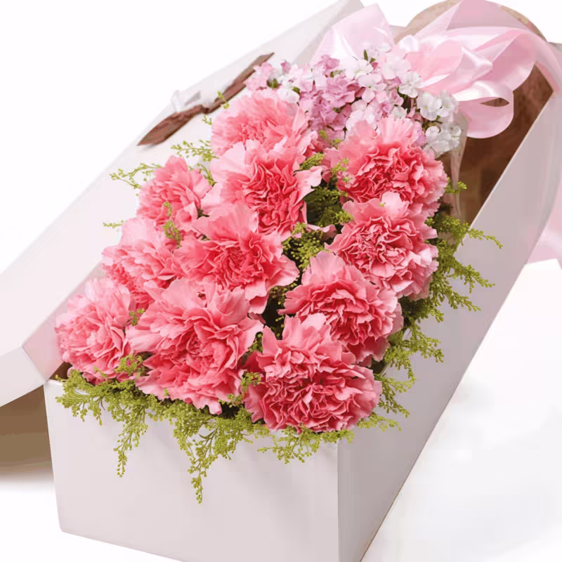 Confezione Regalo con 11 Garofani Rosa - Dolce Gratitudine 11 Pink Carnations Gift Box | Sweet Gratitude Floral Bouquet - 1