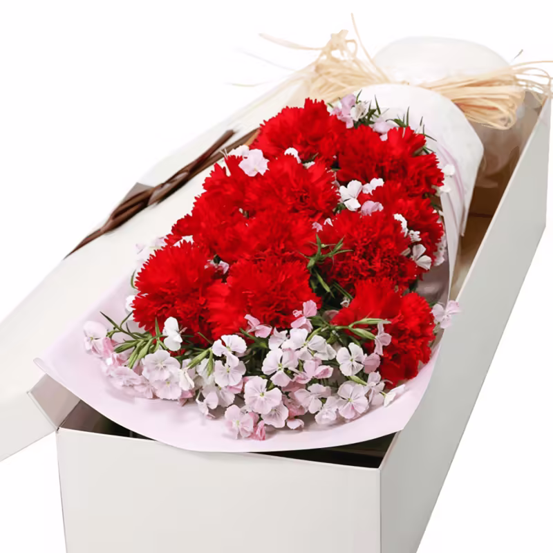 Confezione Regalo con 11 Garofani Rosa - Dolce Gratitudine 11 Pink Carnations Gift Box | Sweet Gratitude Floral Bouquet - 3