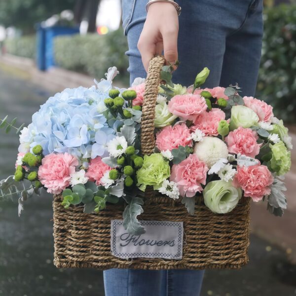 Cesta de 16 claveles y 1 hortensia: Gratitud profunda