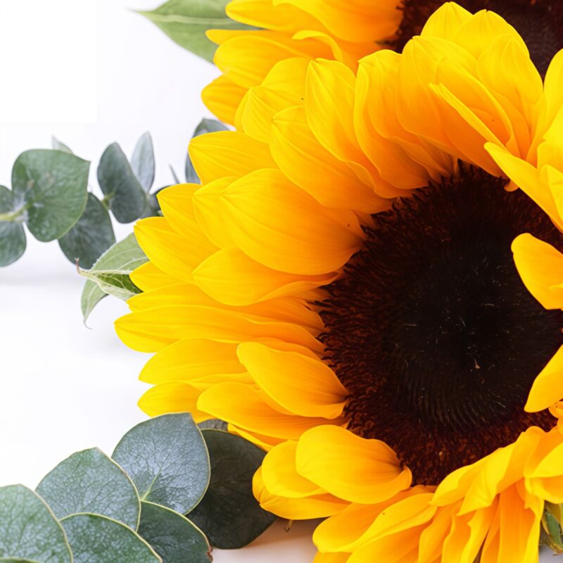 6 Sunflowers Bouquet - Sunny Joy | Vibrant Floral Gift - 4