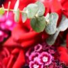 19 Red Roses Bouquet - Endless Devotion | Premium Romantic Floral Gift - 5