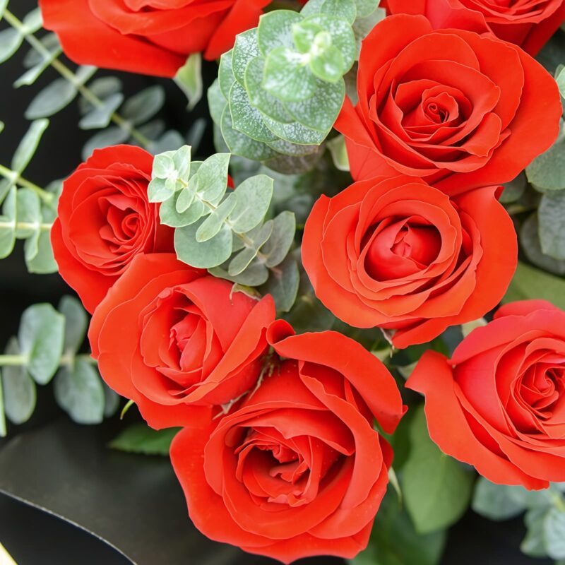 11 Red Roses Bouquet - Pure Joy | Romantic Floral Gift - 4