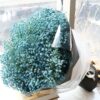 White Baby's Breath Bouquet - Eternal Vow | Elegant Floral Gift - 1