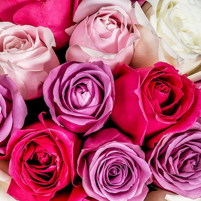 33 Multi-Color Roses Bouquet | Vibrant Assorted Flower Arrangement - 4
