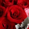 16 Red Roses Bouquet - The Muse | Romantic Floral Gift - 4