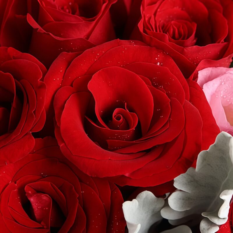 16 Red Roses Bouquet - The Muse | Romantic Floral Gift - 4