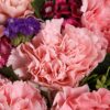 19 Pink Carnations Bouquet - Joyful Bloom Floral Arrangement - 4