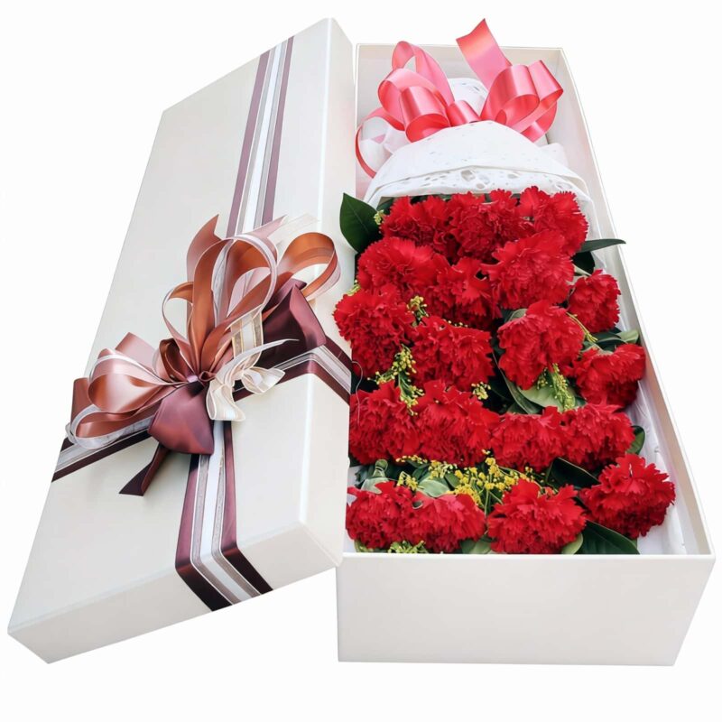 19 Carnations Gift Box - Elegant Flower Bouquet for Teacher’s Day - 3