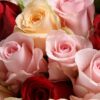 29 Mixed Roses Bouquet - Sweet Affection | Romantic Floral Gift - 4