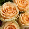 9 Champagne Roses Bouquet - Breath of Life | Elegant Floral Gift - 4