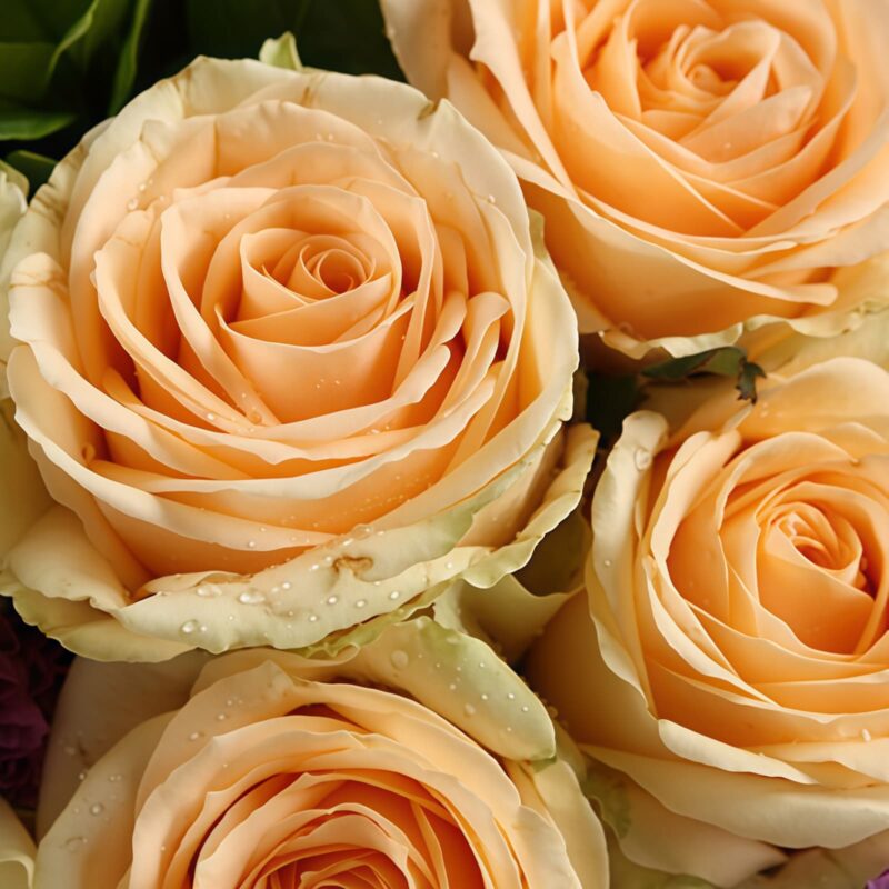 9 Champagne Roses Bouquet - Breath of Life | Elegant Floral Gift - 4
