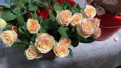 Scatola Regalo 11 Rose Champagne - Eleganza Raffinata real bouquet photo