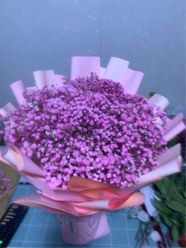 Bouquet di Gypsophila Rosa - Sogno Delicato real bouquet photo
