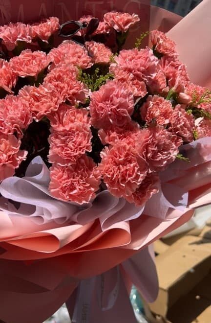 Mazzo "Anni d'Oro": 33 Garofani Rosa real bouquet photo