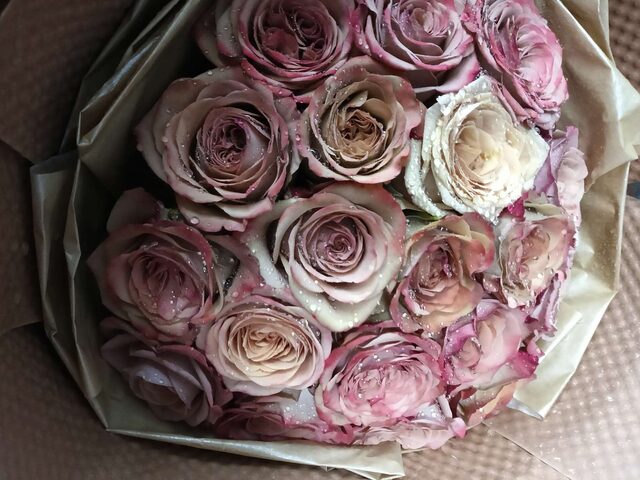 Bouquet di 19 Rose Cappuccino - Dolce Delizia real bouquet photo