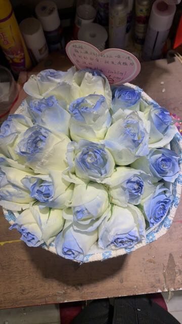 Bouquet di 19 Rose Blu Ghiaccio - Sussurri Delicati real bouquet photo