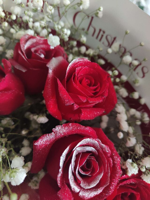 Bouquet 11 Rose Rosse – Incanto Festivo real bouquet photo