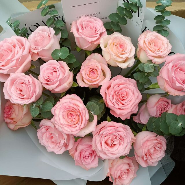 Bouquet di 19 Rose Rosa - Luminosità Gioiosa real bouquet photo