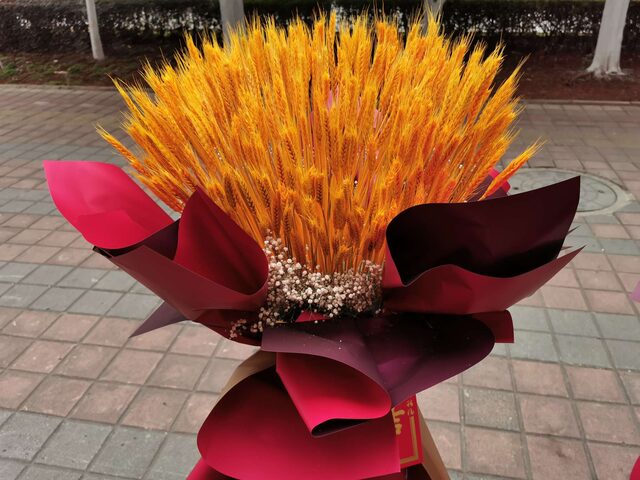 Inaugurazione "388 Spighe d'Orzo Dorato": Simbolo di Prosperità Infinita real bouquet photo