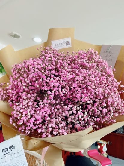 Bouquet di Gypsophila Rosa - Brezza Soave real bouquet photo