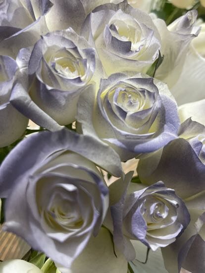 Bouquet di 19 Gigli Bianchi - Eleganza Serena real bouquet photo